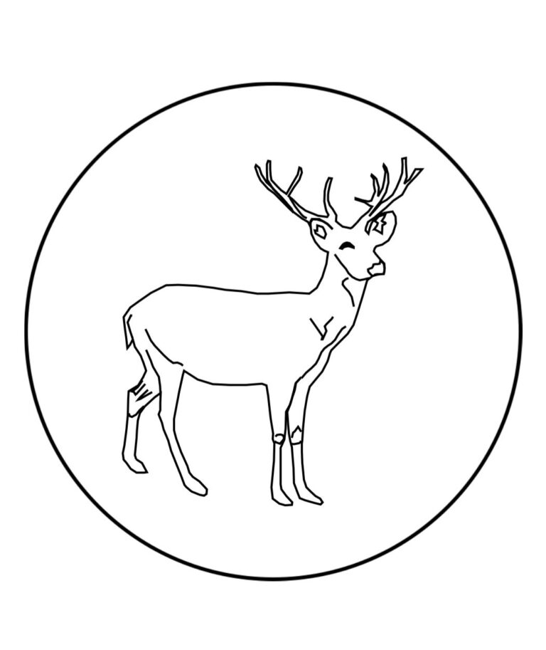 WhatsApp Image 2025-09-15 at 20.51.25