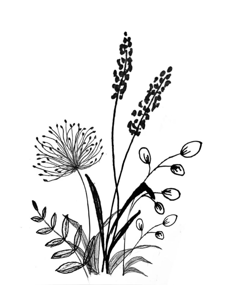 aac1c3d0794f8b2c295365b6f375ca21